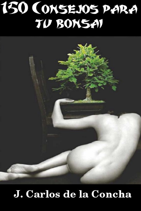 Consejos practicos para mantener la salud y bienestar de tu bonsai