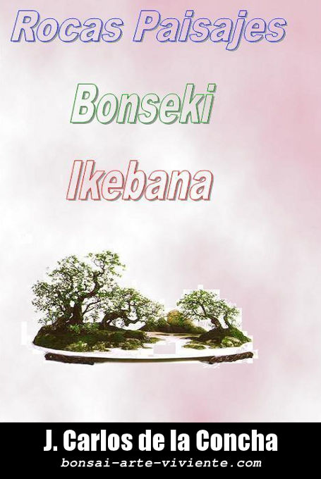 Penjin, Bonsai, Ikebana