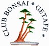 Club Bonsai Getafe