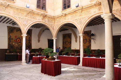 Palacio Guevara