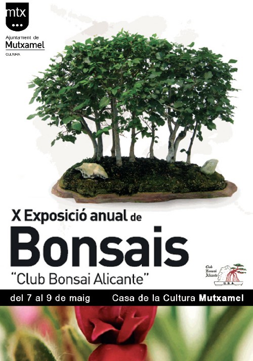 X Exposicion Club Bonsai Alicante