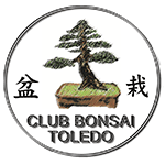 Club Bonsai Toledo